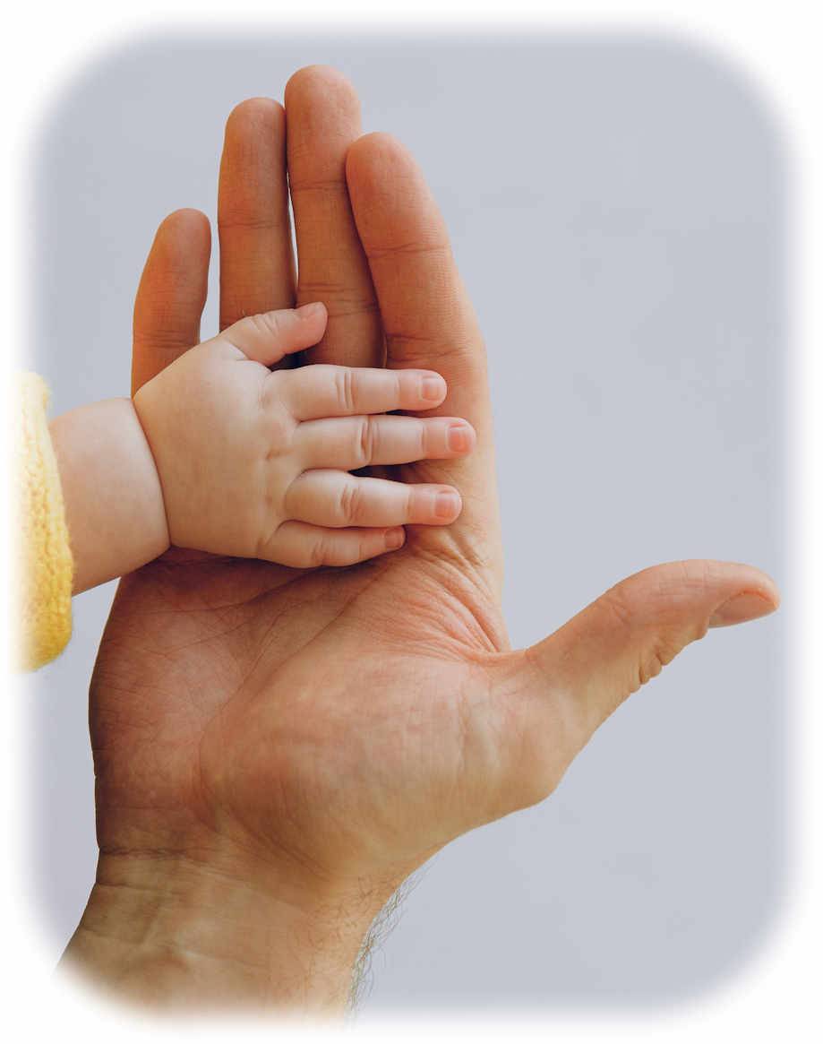 Father's Hand